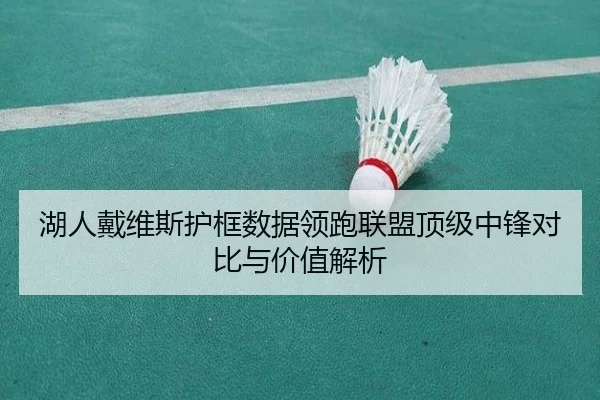湖人戴维斯护框数据领跑联盟顶级中锋对比与价值解析